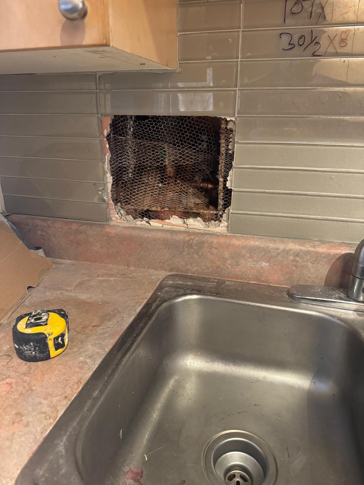 Painting & Plumbing
